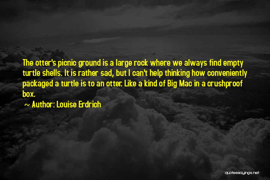 Louise Erdrich Quotes: The Otter's Picnic Ground Is A Large Rock Where We Always Find Empty Turtle Shells. It Is Rather Sad, But