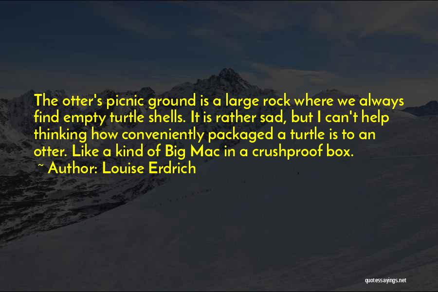 Louise Erdrich Quotes: The Otter's Picnic Ground Is A Large Rock Where We Always Find Empty Turtle Shells. It Is Rather Sad, But