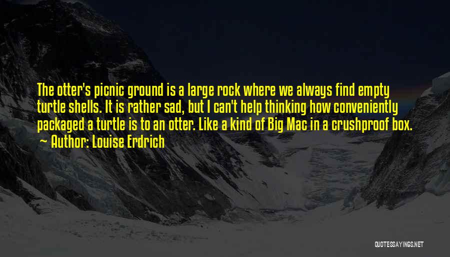 Louise Erdrich Quotes: The Otter's Picnic Ground Is A Large Rock Where We Always Find Empty Turtle Shells. It Is Rather Sad, But