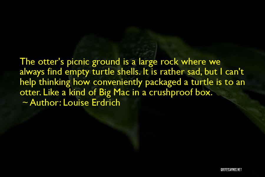 Louise Erdrich Quotes: The Otter's Picnic Ground Is A Large Rock Where We Always Find Empty Turtle Shells. It Is Rather Sad, But