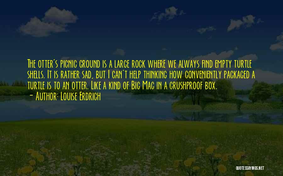 Louise Erdrich Quotes: The Otter's Picnic Ground Is A Large Rock Where We Always Find Empty Turtle Shells. It Is Rather Sad, But