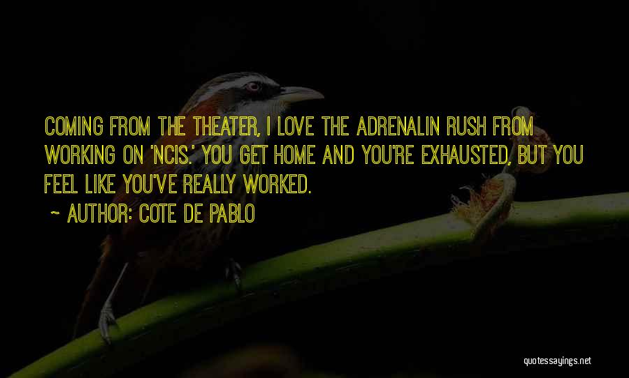 Cote De Pablo Quotes: Coming From The Theater, I Love The Adrenalin Rush From Working On 'ncis.' You Get Home And You're Exhausted, But