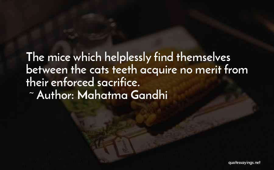 Mahatma Gandhi Quotes: The Mice Which Helplessly Find Themselves Between The Cats Teeth Acquire No Merit From Their Enforced Sacrifice.