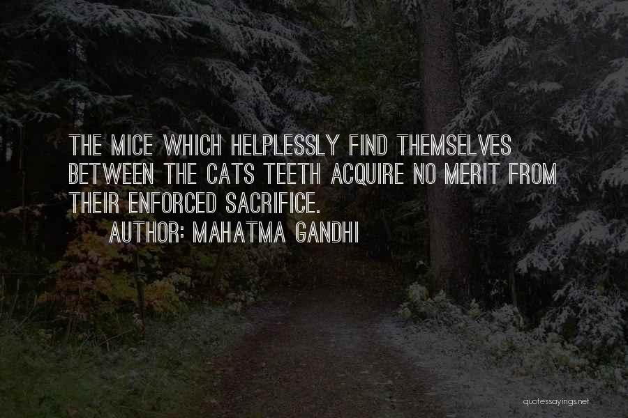 Mahatma Gandhi Quotes: The Mice Which Helplessly Find Themselves Between The Cats Teeth Acquire No Merit From Their Enforced Sacrifice.