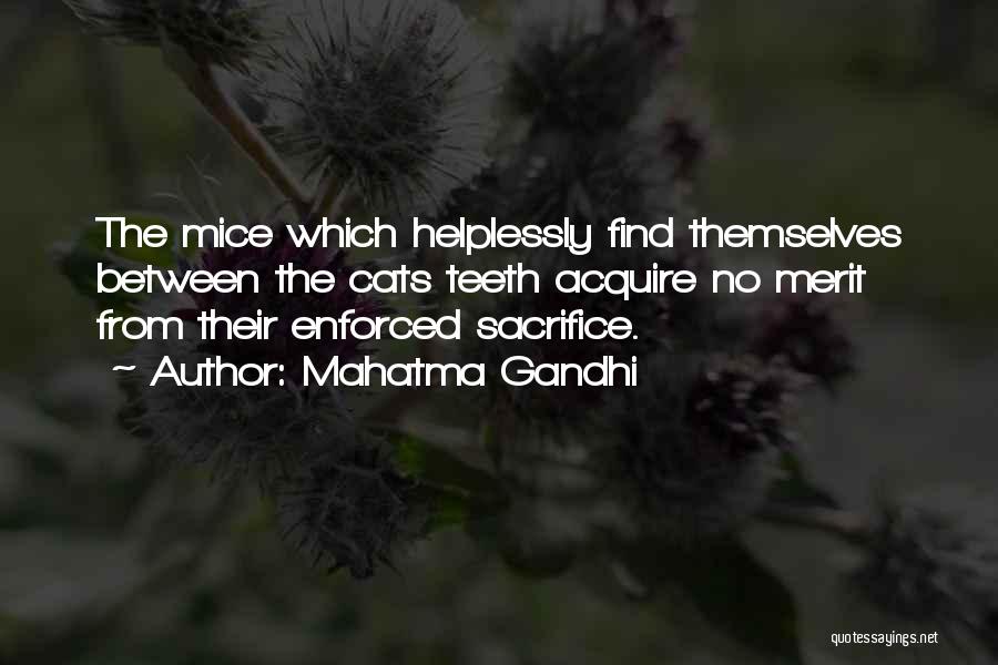 Mahatma Gandhi Quotes: The Mice Which Helplessly Find Themselves Between The Cats Teeth Acquire No Merit From Their Enforced Sacrifice.