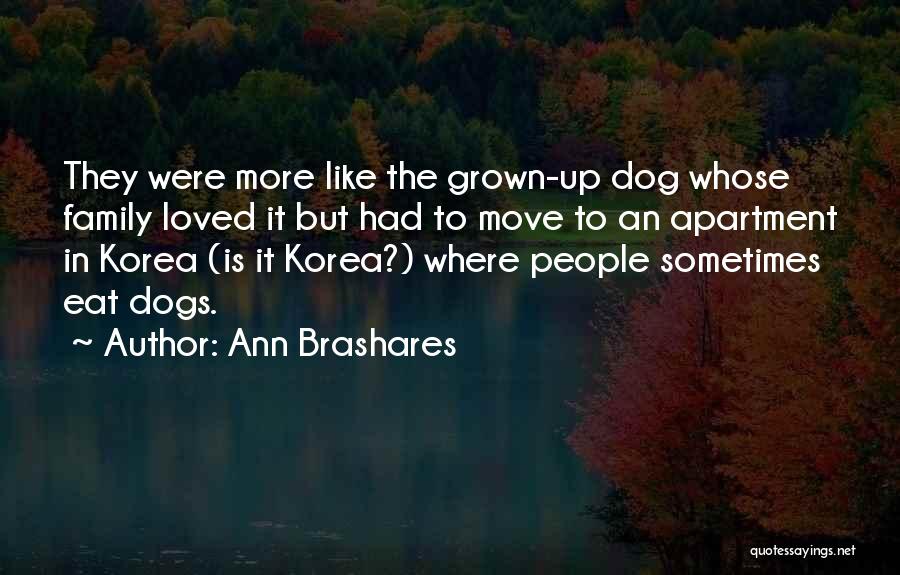 Ann Brashares Quotes: They Were More Like The Grown-up Dog Whose Family Loved It But Had To Move To An Apartment In Korea