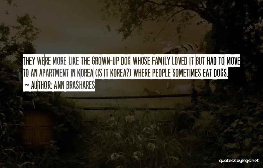 Ann Brashares Quotes: They Were More Like The Grown-up Dog Whose Family Loved It But Had To Move To An Apartment In Korea