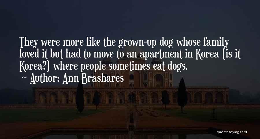 Ann Brashares Quotes: They Were More Like The Grown-up Dog Whose Family Loved It But Had To Move To An Apartment In Korea