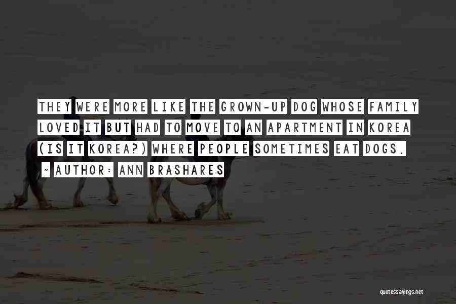 Ann Brashares Quotes: They Were More Like The Grown-up Dog Whose Family Loved It But Had To Move To An Apartment In Korea