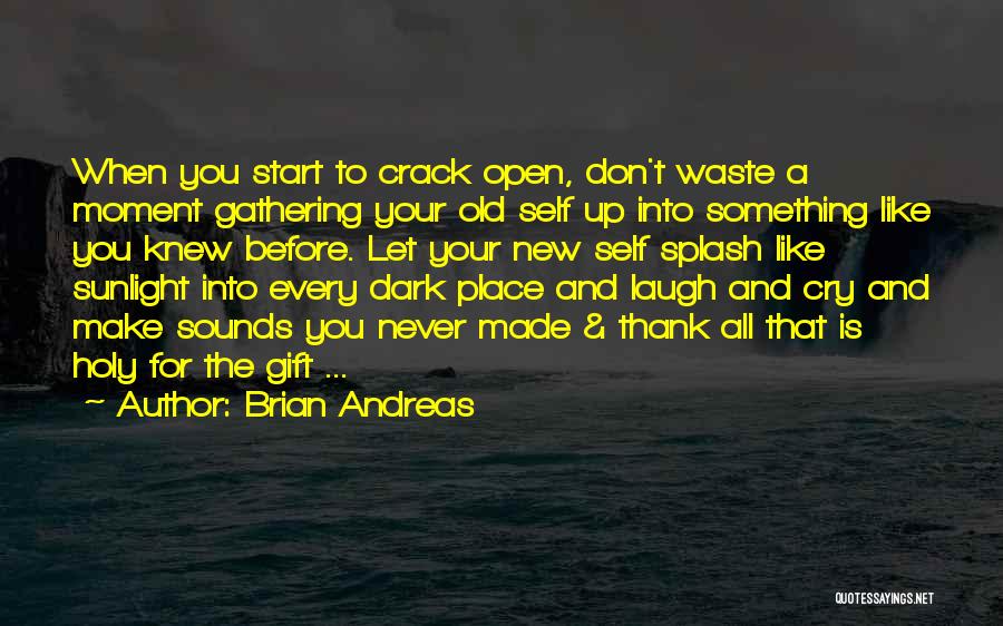 Brian Andreas Quotes: When You Start To Crack Open, Don't Waste A Moment Gathering Your Old Self Up Into Something Like You Knew