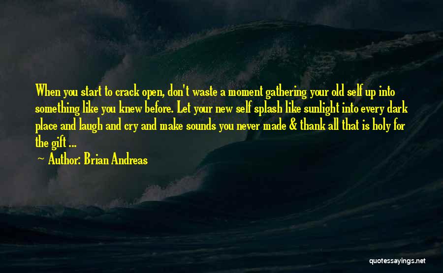 Brian Andreas Quotes: When You Start To Crack Open, Don't Waste A Moment Gathering Your Old Self Up Into Something Like You Knew