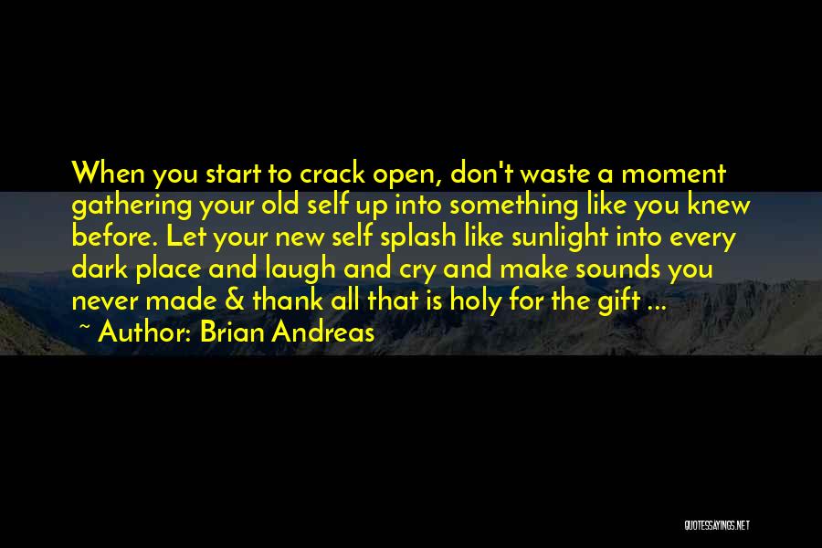 Brian Andreas Quotes: When You Start To Crack Open, Don't Waste A Moment Gathering Your Old Self Up Into Something Like You Knew