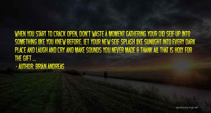 Brian Andreas Quotes: When You Start To Crack Open, Don't Waste A Moment Gathering Your Old Self Up Into Something Like You Knew