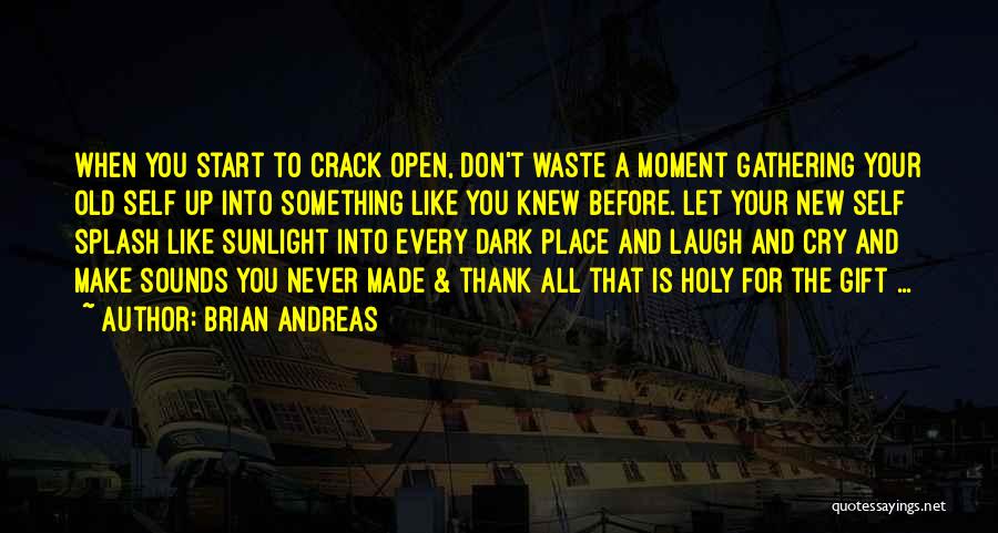 Brian Andreas Quotes: When You Start To Crack Open, Don't Waste A Moment Gathering Your Old Self Up Into Something Like You Knew