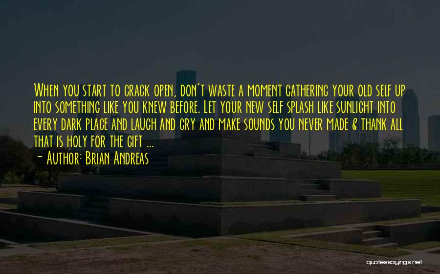 Brian Andreas Quotes: When You Start To Crack Open, Don't Waste A Moment Gathering Your Old Self Up Into Something Like You Knew