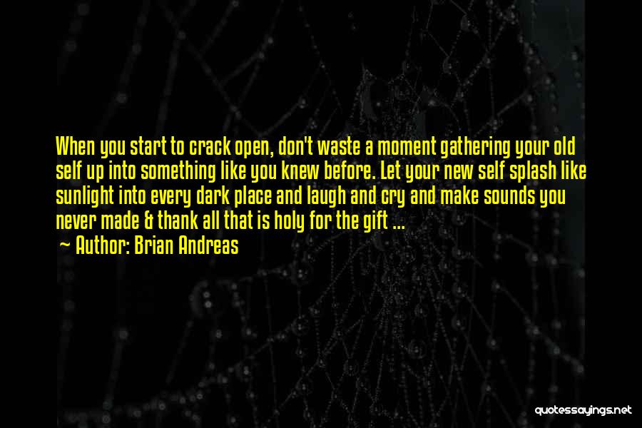 Brian Andreas Quotes: When You Start To Crack Open, Don't Waste A Moment Gathering Your Old Self Up Into Something Like You Knew