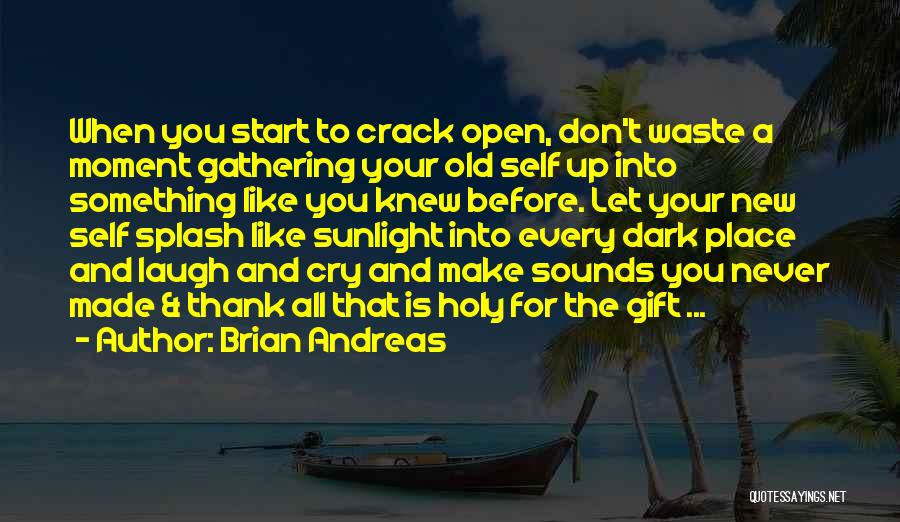 Brian Andreas Quotes: When You Start To Crack Open, Don't Waste A Moment Gathering Your Old Self Up Into Something Like You Knew