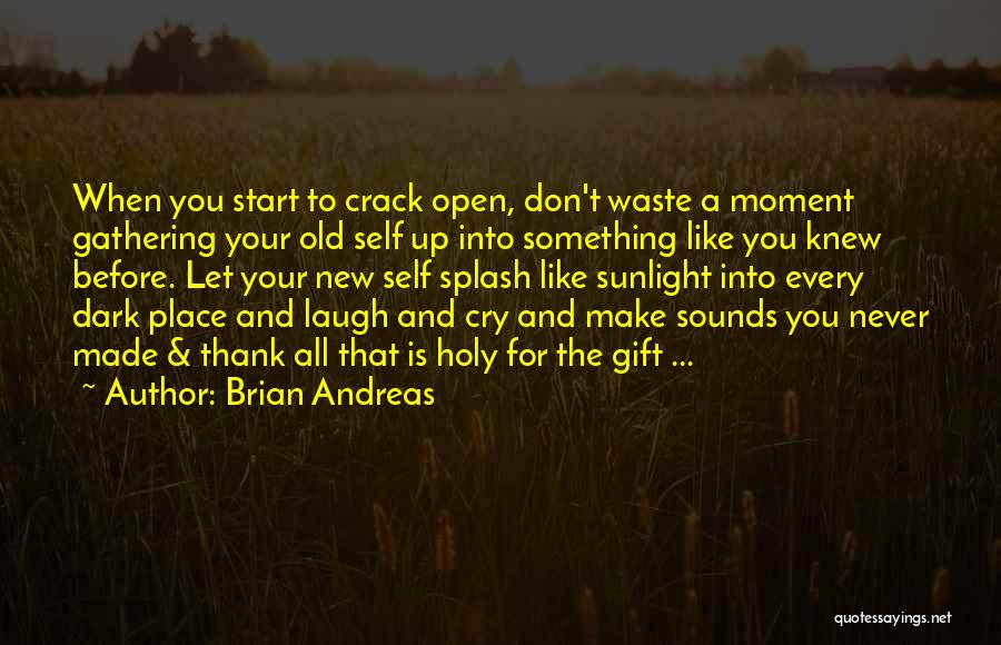 Brian Andreas Quotes: When You Start To Crack Open, Don't Waste A Moment Gathering Your Old Self Up Into Something Like You Knew