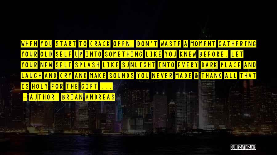 Brian Andreas Quotes: When You Start To Crack Open, Don't Waste A Moment Gathering Your Old Self Up Into Something Like You Knew