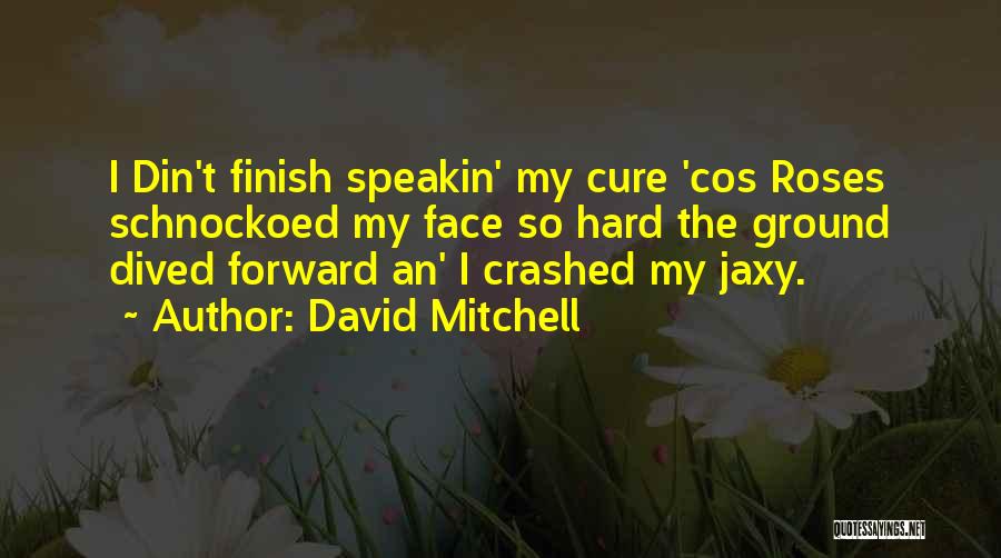 David Mitchell Quotes: I Din't Finish Speakin' My Cure 'cos Roses Schnockoed My Face So Hard The Ground Dived Forward An' I Crashed