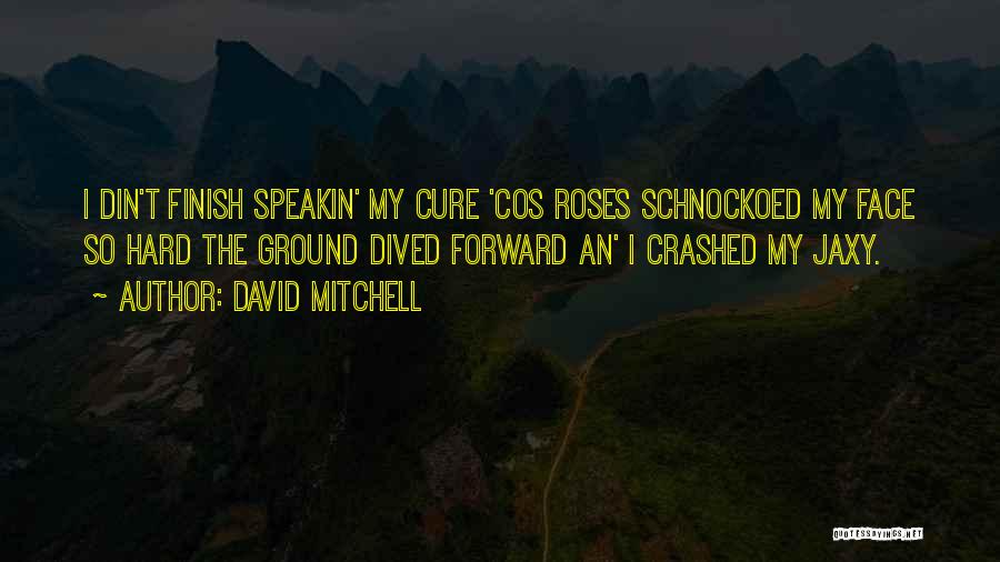 David Mitchell Quotes: I Din't Finish Speakin' My Cure 'cos Roses Schnockoed My Face So Hard The Ground Dived Forward An' I Crashed