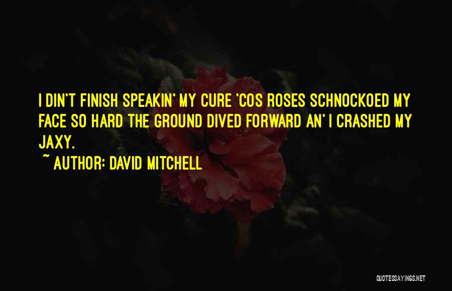 David Mitchell Quotes: I Din't Finish Speakin' My Cure 'cos Roses Schnockoed My Face So Hard The Ground Dived Forward An' I Crashed