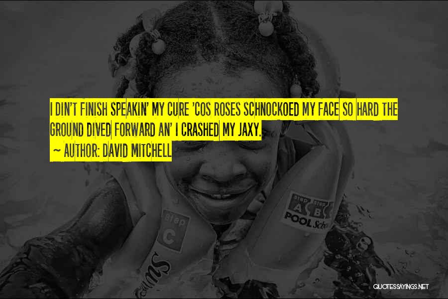 David Mitchell Quotes: I Din't Finish Speakin' My Cure 'cos Roses Schnockoed My Face So Hard The Ground Dived Forward An' I Crashed