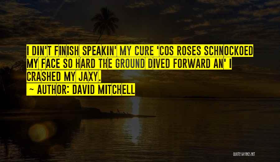 David Mitchell Quotes: I Din't Finish Speakin' My Cure 'cos Roses Schnockoed My Face So Hard The Ground Dived Forward An' I Crashed