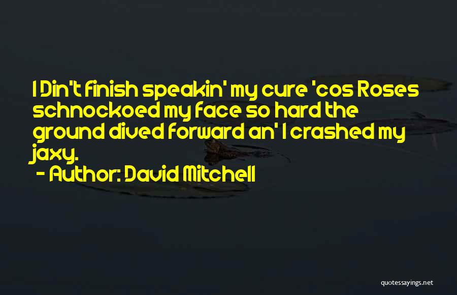 David Mitchell Quotes: I Din't Finish Speakin' My Cure 'cos Roses Schnockoed My Face So Hard The Ground Dived Forward An' I Crashed