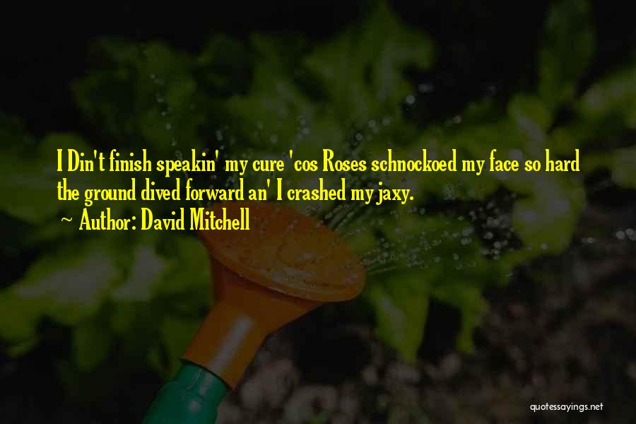 David Mitchell Quotes: I Din't Finish Speakin' My Cure 'cos Roses Schnockoed My Face So Hard The Ground Dived Forward An' I Crashed