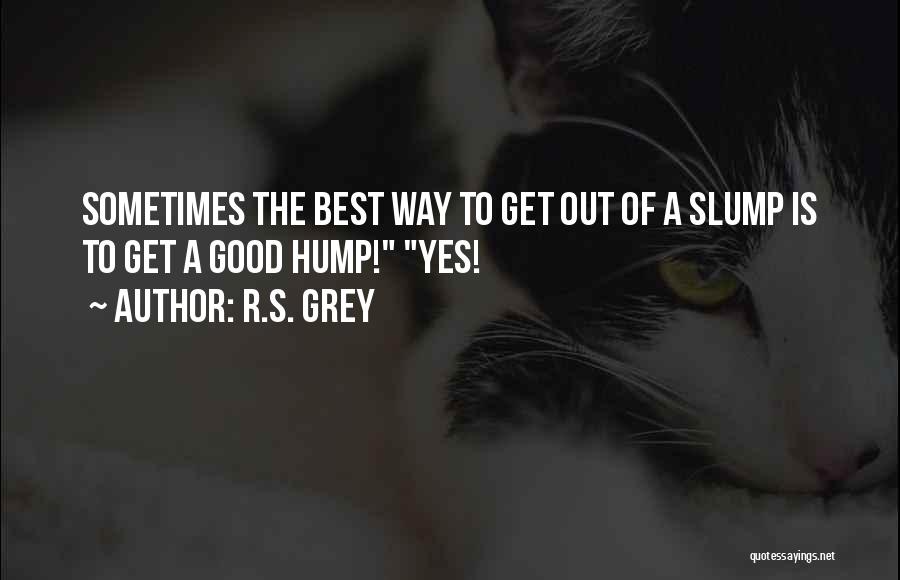 R.S. Grey Quotes: Sometimes The Best Way To Get Out Of A Slump Is To Get A Good Hump! Yes!