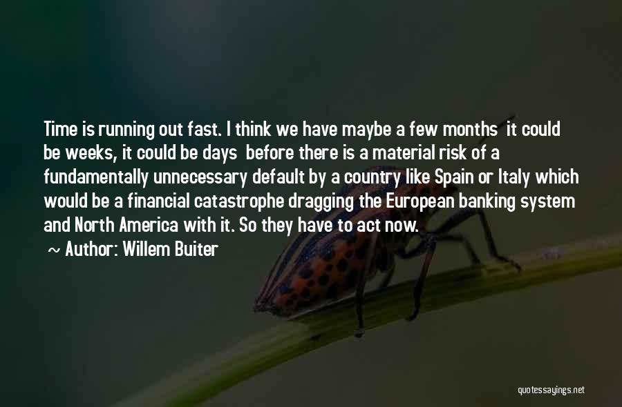 Willem Buiter Quotes: Time Is Running Out Fast. I Think We Have Maybe A Few Months It Could Be Weeks, It Could Be