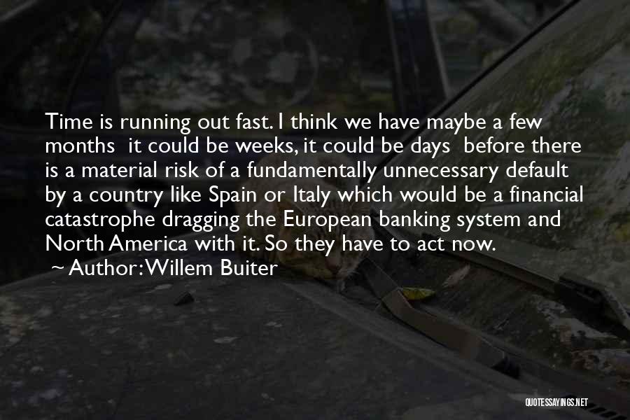 Willem Buiter Quotes: Time Is Running Out Fast. I Think We Have Maybe A Few Months It Could Be Weeks, It Could Be