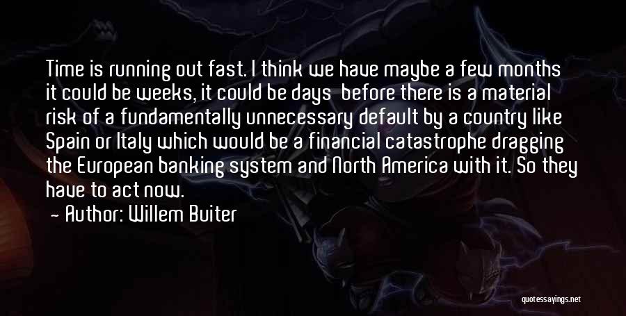 Willem Buiter Quotes: Time Is Running Out Fast. I Think We Have Maybe A Few Months It Could Be Weeks, It Could Be