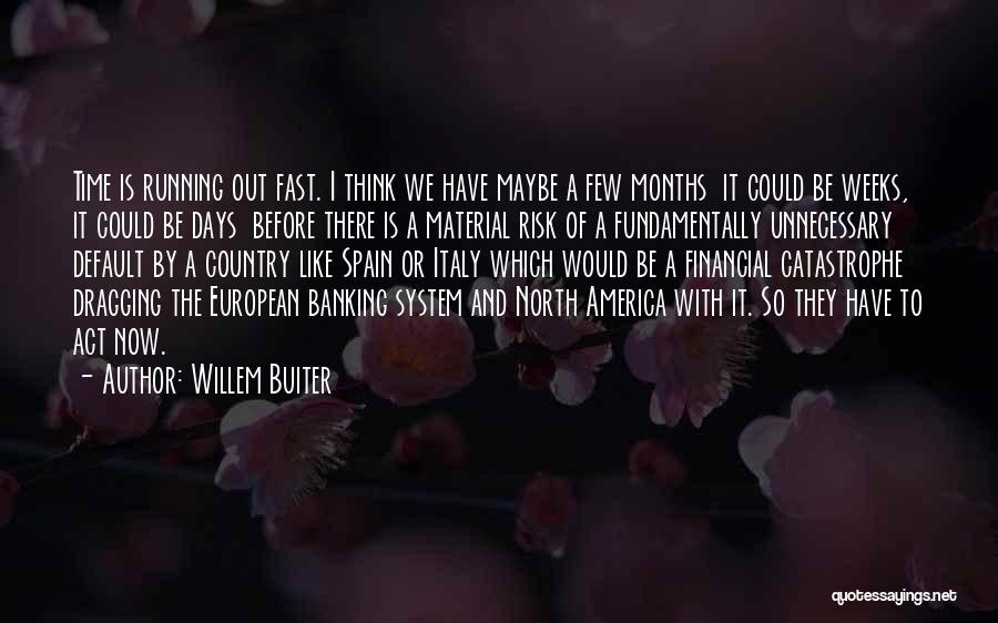 Willem Buiter Quotes: Time Is Running Out Fast. I Think We Have Maybe A Few Months It Could Be Weeks, It Could Be