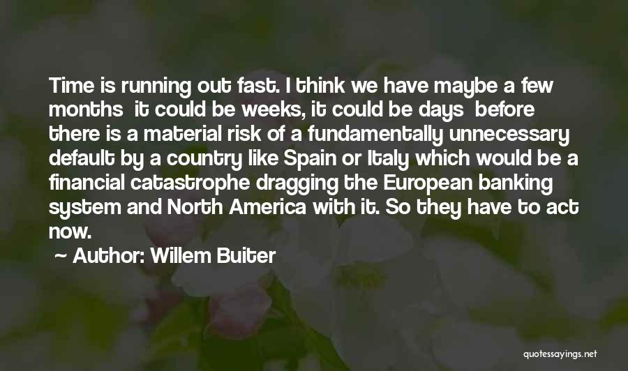 Willem Buiter Quotes: Time Is Running Out Fast. I Think We Have Maybe A Few Months It Could Be Weeks, It Could Be