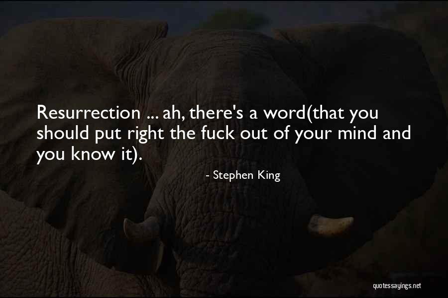707 Gun Quotes By Stephen King 707 Gun Quotes By Stephen King