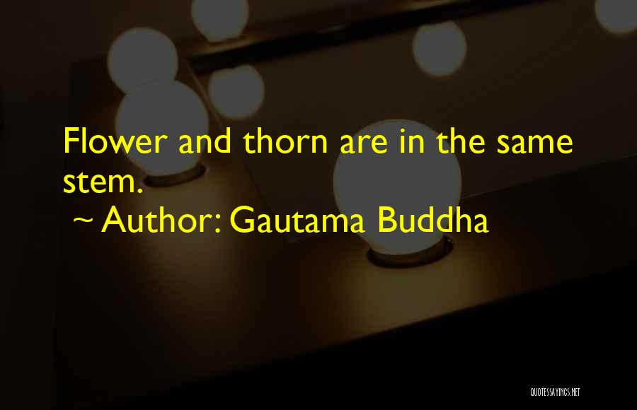 707 Mystic Messenger Quotes By Gautama Buddha