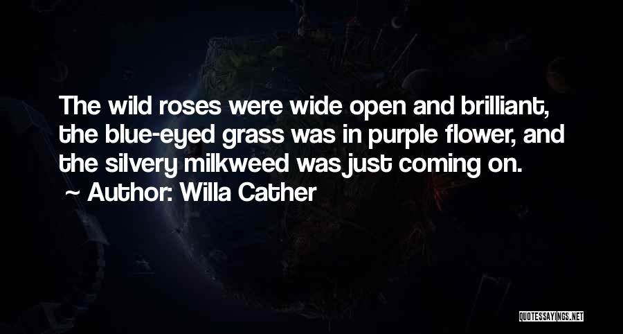Willa Cather Quotes: The Wild Roses Were Wide Open And Brilliant, The Blue-eyed Grass Was In Purple Flower, And The Silvery Milkweed Was