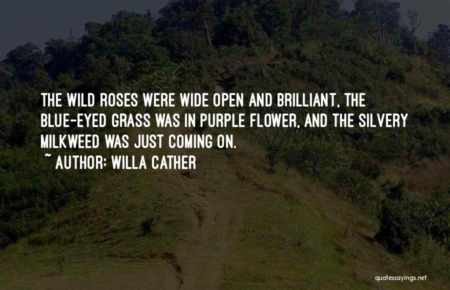 Willa Cather Quotes: The Wild Roses Were Wide Open And Brilliant, The Blue-eyed Grass Was In Purple Flower, And The Silvery Milkweed Was