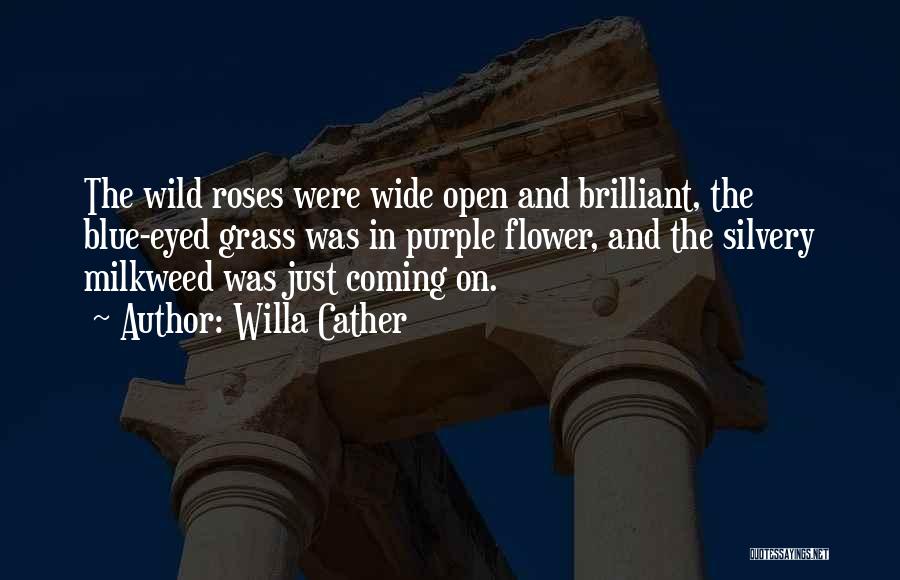 Willa Cather Quotes: The Wild Roses Were Wide Open And Brilliant, The Blue-eyed Grass Was In Purple Flower, And The Silvery Milkweed Was