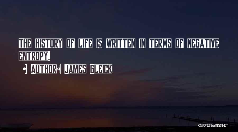 James Gleick Quotes: The History Of Life Is Written In Terms Of Negative Entropy.