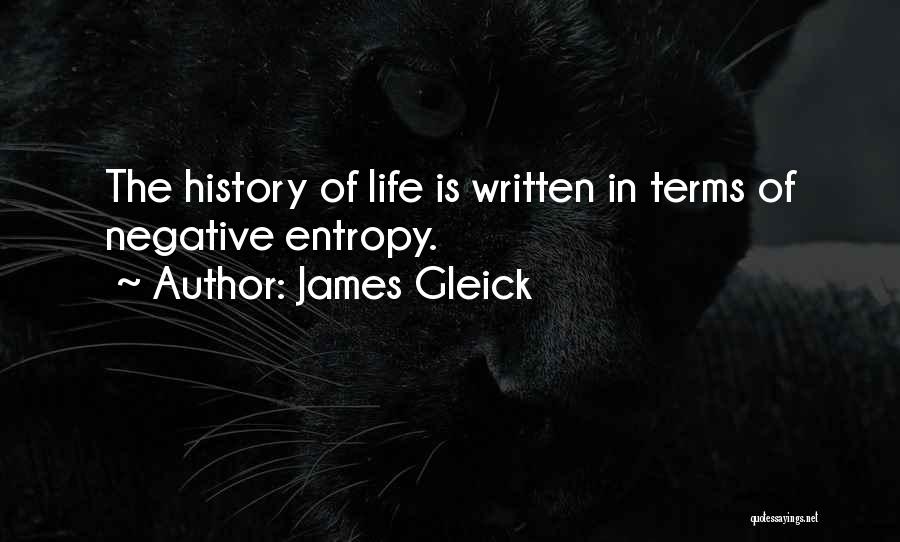 James Gleick Quotes: The History Of Life Is Written In Terms Of Negative Entropy.
