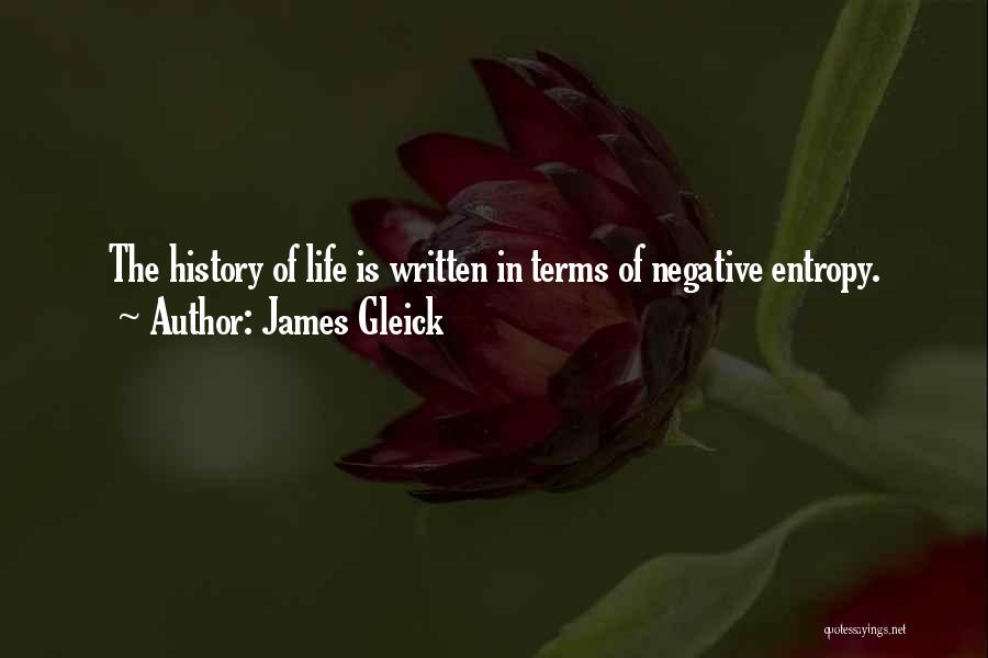 James Gleick Quotes: The History Of Life Is Written In Terms Of Negative Entropy.