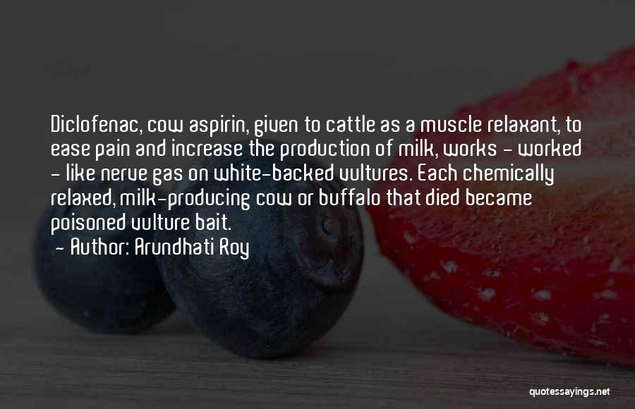 Arundhati Roy Quotes: Diclofenac, Cow Aspirin, Given To Cattle As A Muscle Relaxant, To Ease Pain And Increase The Production Of Milk, Works