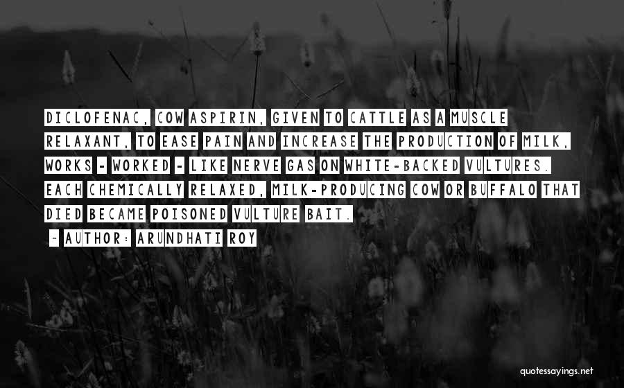 Arundhati Roy Quotes: Diclofenac, Cow Aspirin, Given To Cattle As A Muscle Relaxant, To Ease Pain And Increase The Production Of Milk, Works