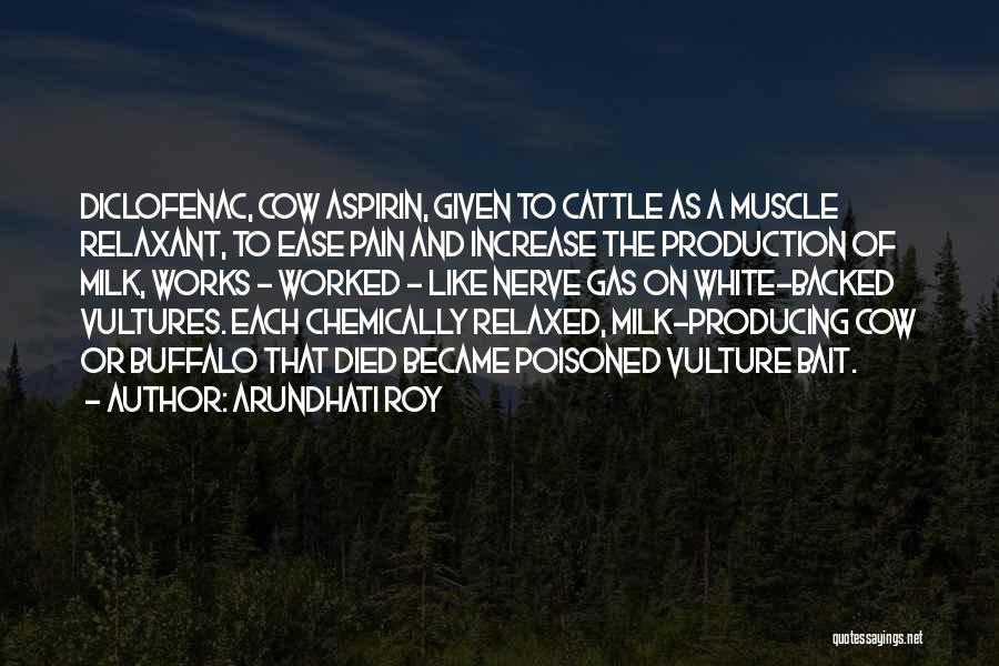 Arundhati Roy Quotes: Diclofenac, Cow Aspirin, Given To Cattle As A Muscle Relaxant, To Ease Pain And Increase The Production Of Milk, Works