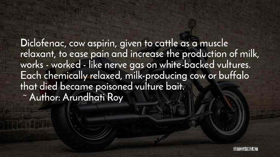 Arundhati Roy Quotes: Diclofenac, Cow Aspirin, Given To Cattle As A Muscle Relaxant, To Ease Pain And Increase The Production Of Milk, Works