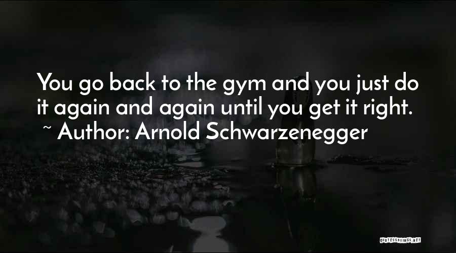 Arnold Schwarzenegger Quotes: You Go Back To The Gym And You Just Do It Again And Again Until You Get It Right.