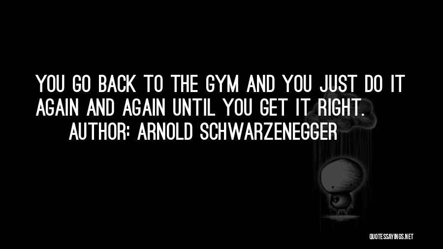 Arnold Schwarzenegger Quotes: You Go Back To The Gym And You Just Do It Again And Again Until You Get It Right.